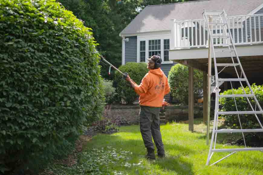 Pruning and Trimming