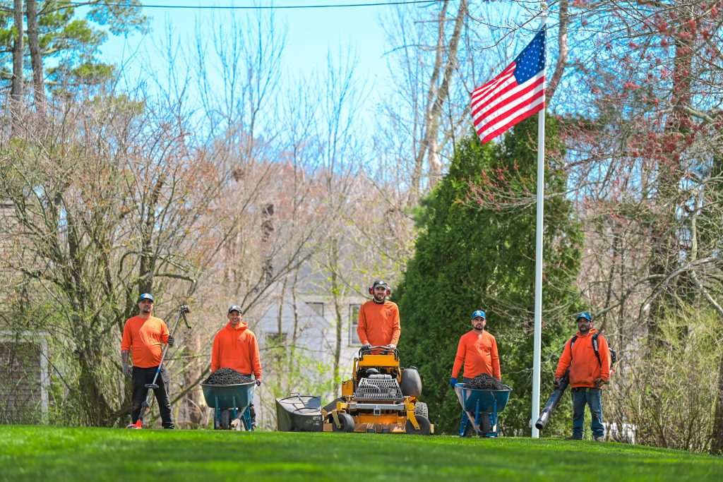 Pear Tree Pro Bundle