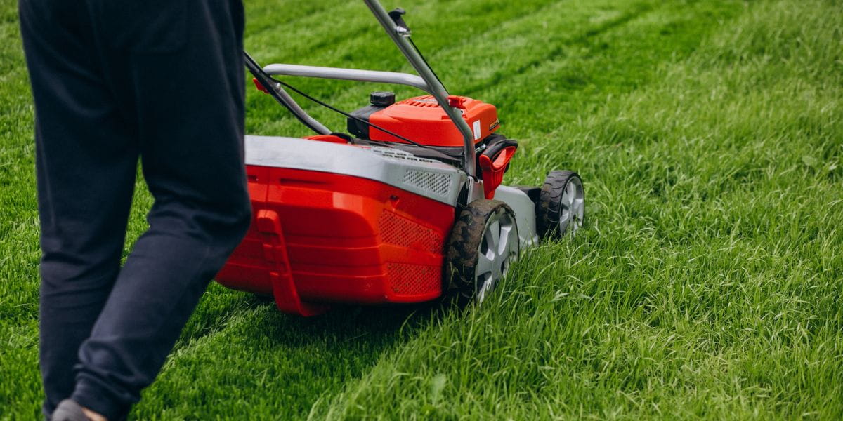 how often should you mow your lawn