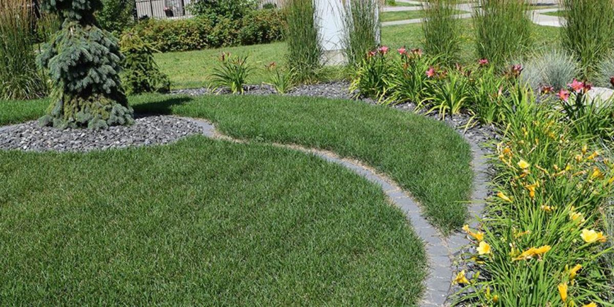 landscape design mistakes​