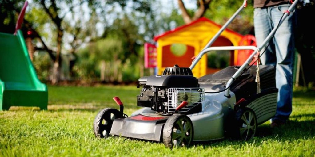 summer lawn care