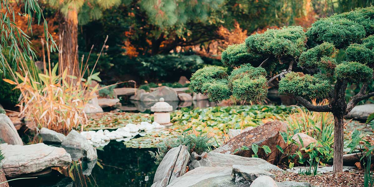 A tranquil garden pond surrounded by lush greenery, natural rocks, and water lilies showcases thoughtful biophilic landscape design principles.